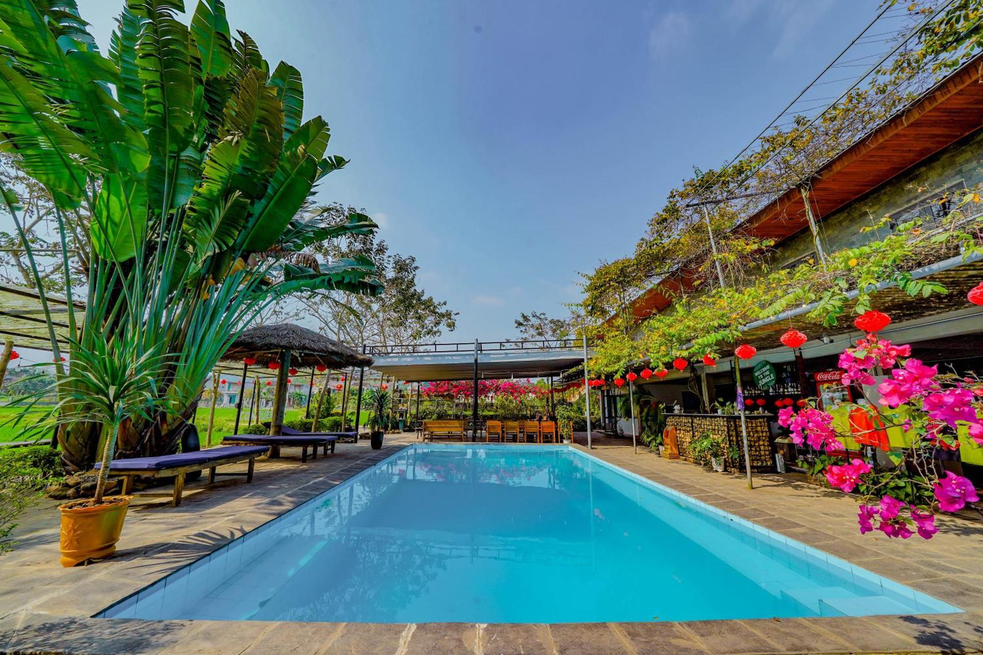 Homestay Jungle Boss Travel Phong Nha